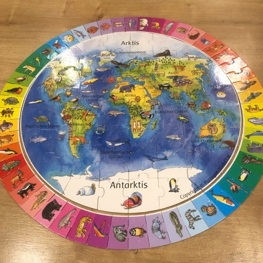 IMG_9565 2 IMG_9565 2