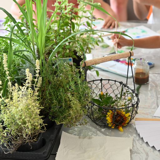 Am ersten Tag waren wir in Obersulz im Hort der Volksschule
